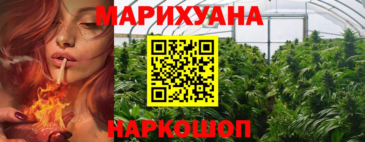 Конопля индика Вятские Поляны